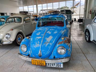 Hoje é o Dia Nacional do Fusca